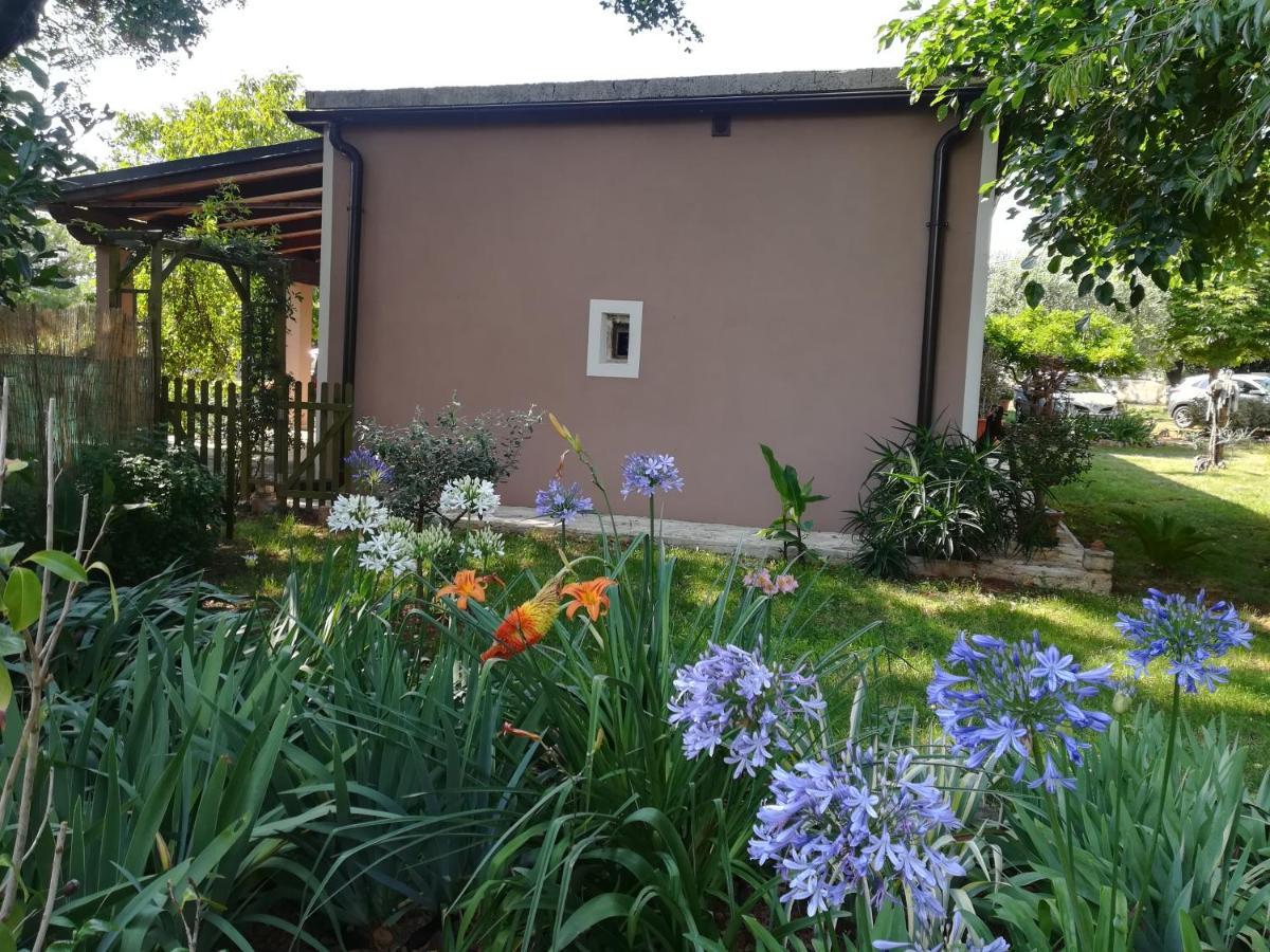 Apartman "Almond House 2" 普拉 外观 照片